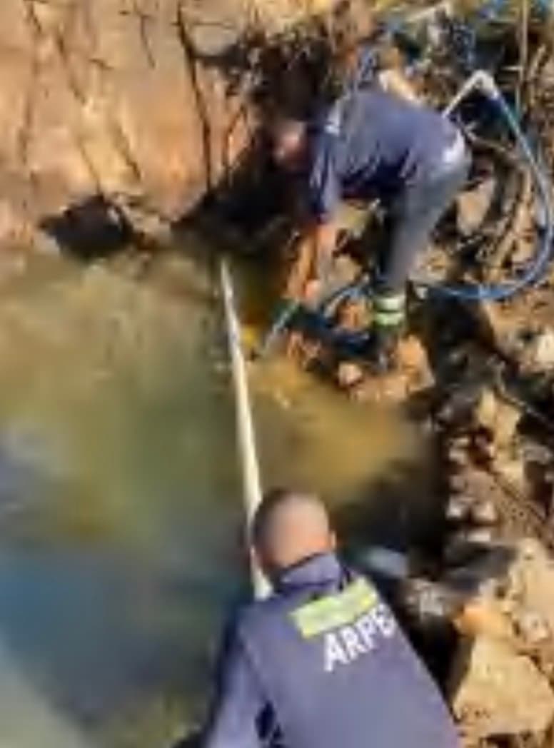 Biorremediación de suelo y agua